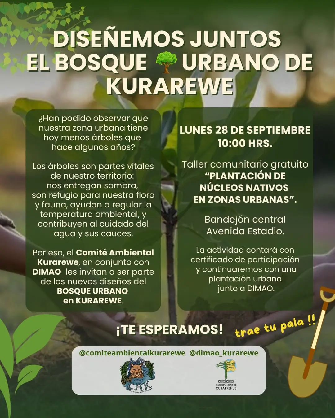 DISEÑEMOS JUNTOS EL BOSQUE URBANO DE KURAREWE